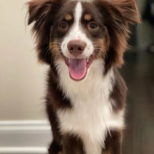 Meet your Posher, Ryan